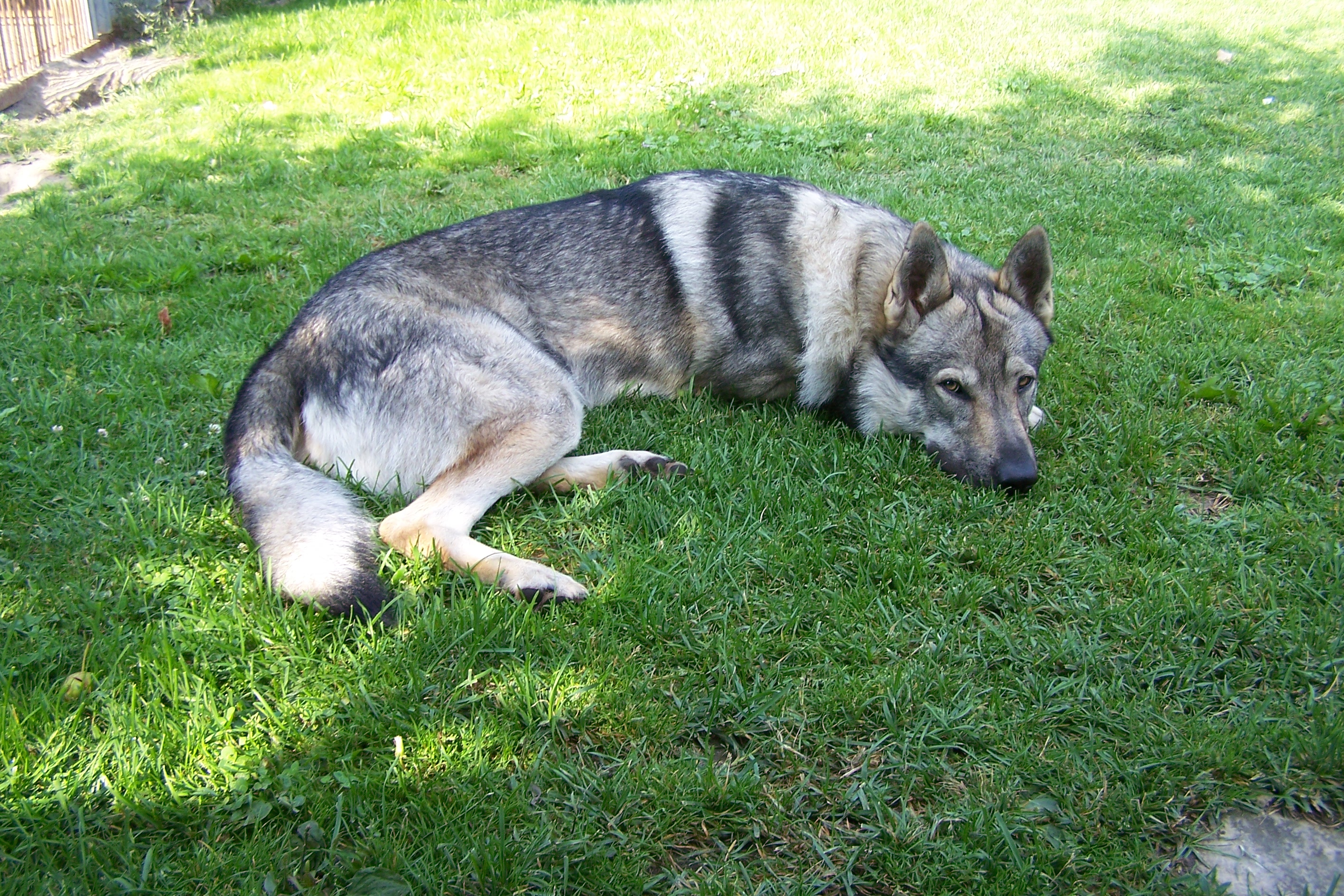 100_7028.jpg
