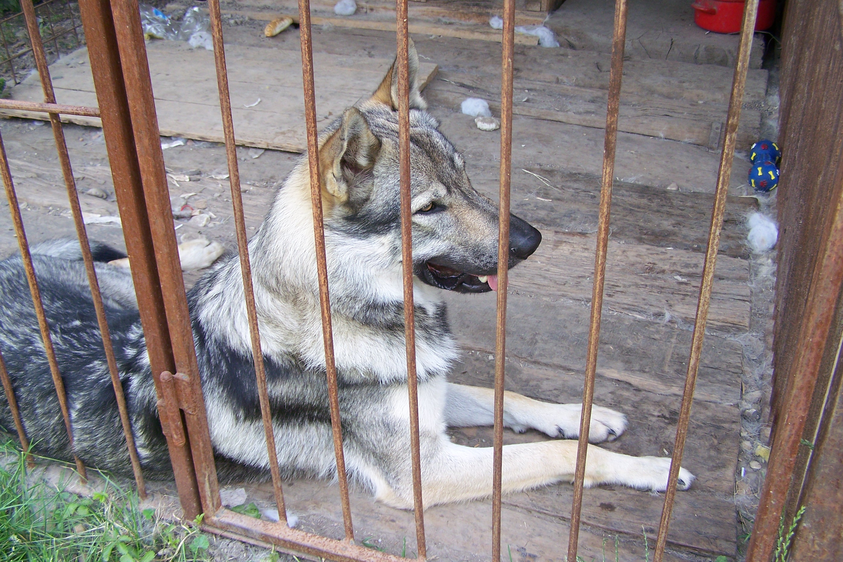 100_6943.jpg